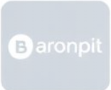 Partner 4